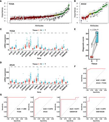 Association of genes in hereditary metabolic diseases with diagnosis, prognosis, and treatment outcomes in gastric cancer